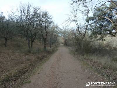 El Monasterio del Bonaval y el cañón del Jarama;viajes puente constitucion viajes organizados desd